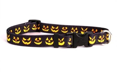 Raining Cats and Dogs | Jack O'Lantern Collar, Made in the USA