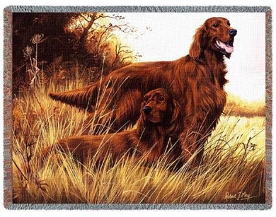 Raining Cats and Dogs | Irish Setter Throw Blanket, Made in the USA