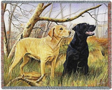 Raining Cats and Dogs | Labrador Retriever Throw Blanket, Made in the USA