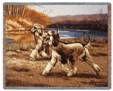 Raining Cats and Dogs | Afghan Hound Throw Blanket, Made in the USA