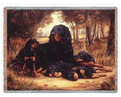 Raining Cats and Dogs | Gordon Setter Throw Blanket, Made in the USA