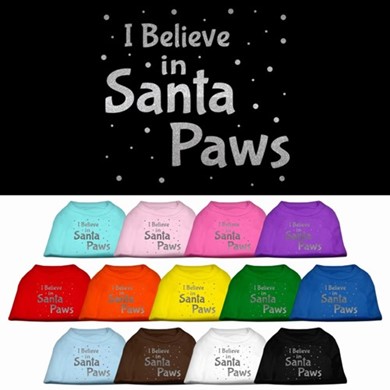 Raining Cats and Dogs | Santa Paws Pet Tee