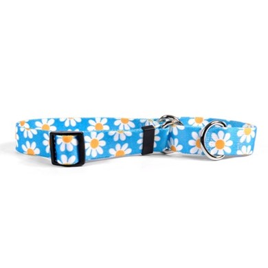 Raining Cats and Dogs | Blue Daisy Martingale Collar