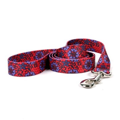 Raining Cats and Dogs | Red Lace Leash