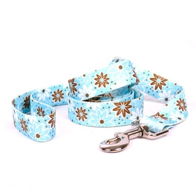 Raining Cats and Dogs | Daisy Chain Leash