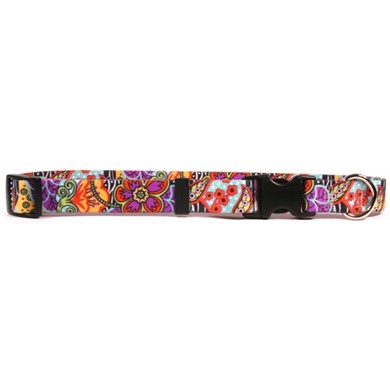 Raining Cats and Dogs | Amazon Floral Collar