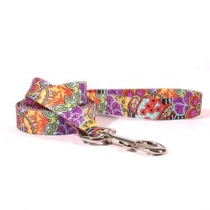 Raining Cats and Dogs | Amazon Floral Leash