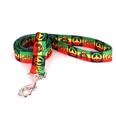 Raining Cats and Dogs | Rasta Leash