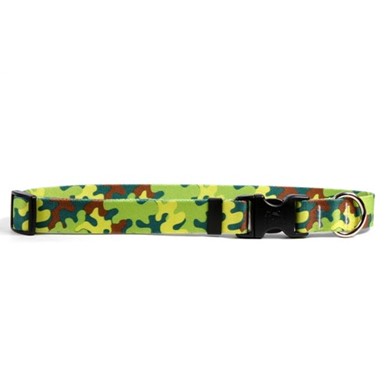 Raining Cats and Dogs I Neon Camo Collar