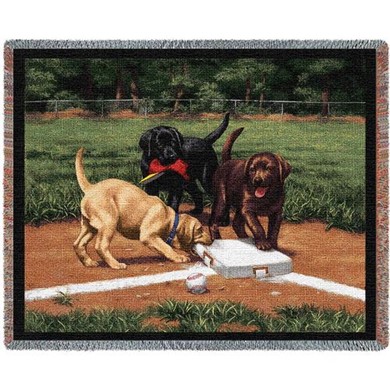 Raining Cats and Dogs | Labs Throw Blanket, Made in the USA