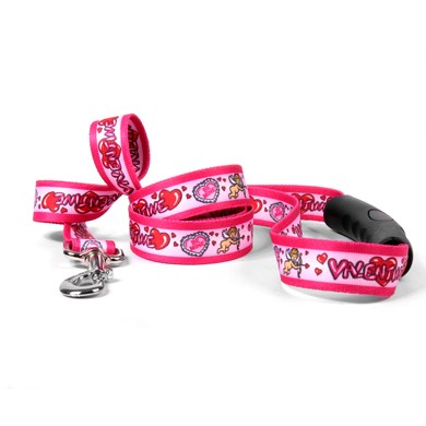 Raining Cats and Dogs | Be My Valentine Easy Grip Lead
