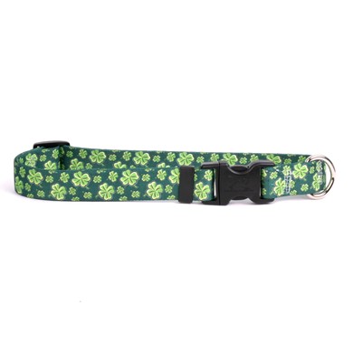 Raining Cats and Dogs | 4 Leaf Clover Collar