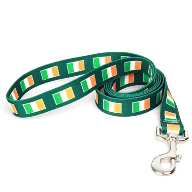 Raining Cats and Dogs | Irish Flag Leash, the Perfect St. Patrick's Day Leash