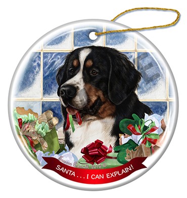 Raining Cats and Dogs | Bernese Mountain Dog Santa I Can Explain Christmas Ornament