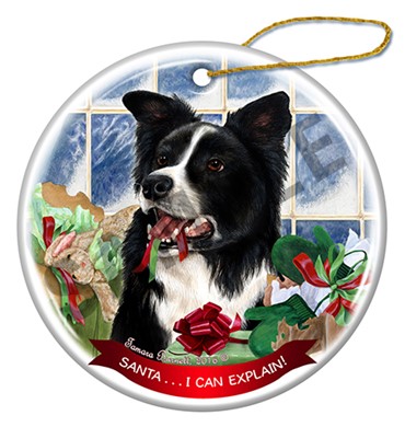 Raining Cats and Dogs |Santa I Can Explain Border Collie Dog Christmas Ornament