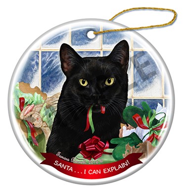 Raining Cats and Dogs | Black Cat Santa I Can Explain Christmas Ornament