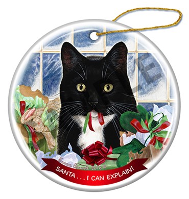 Raining Cats and Dogs | Tuxedo Cat Santa I Can Explain Christmas Ornament
