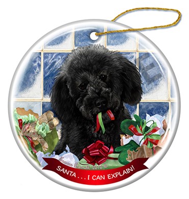 Raining Cats and Dogs |Santa I Can Explain Labradoodle Dog Christmas Ornament