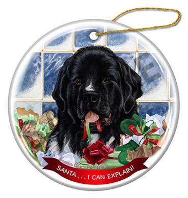 Raining Cats and Dogs | Santa I Can Explain Newfoundland Dog Christmas Ornament