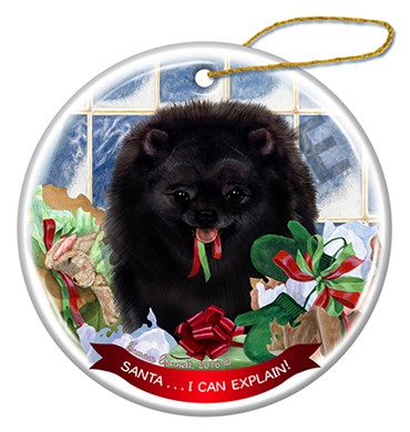 Raining Cats and Dogs | Santa I Can Explain Pomeranian Dog Christmas Ornament