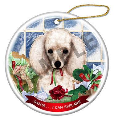 Raining Cats and Dogs | Santa I Can Explain Poodle Dog Christmas Ornament