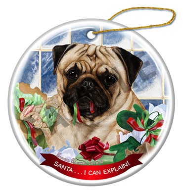 Raining Cats and Dogs |Santa I Can Explain Pug Dog Christmas Ornament