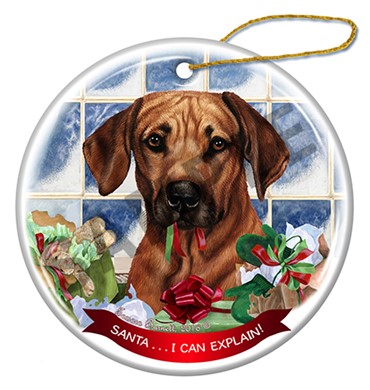 Raining Cats and Dogs | Santa I Can Explain Rhodesian Ridgeback Dog Christmas Ornament