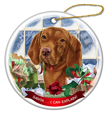 Raining Cats and Dogs | Vizsla Santa I Can Explain Dog Christmas Ornament