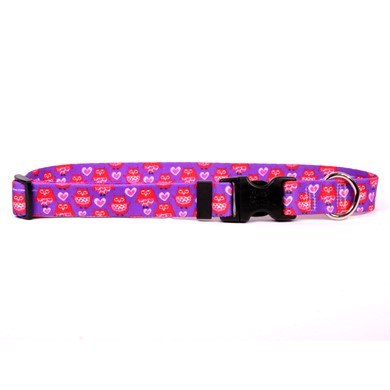 Raining Cats and Dogs | Valentine Owl Collar, Made in the USA