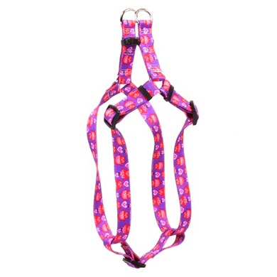 Raining Cats and Dogs | Valentine Owl Step-In Harness