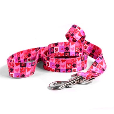 Raining Cats and Dogs | Valentine Blocks Leash