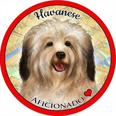 Raining Cats and Dogs |Havanese Dog Car Coaster Buddy