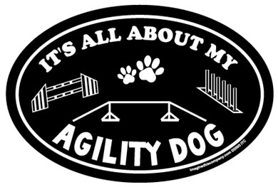 Raining Cats and Dogs | It's All About My Agility Dog Oval Car Magnet