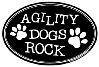 Raining Cats and Dogs | Agility Dogs Rock Oval Car Magnet
