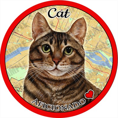 Raining Cats and Dogs | Brown Tabby Cat Car Coaster Buddy