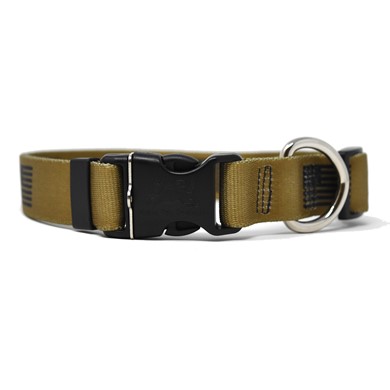 Raining Cats and Dogs |Desert Flag Collar