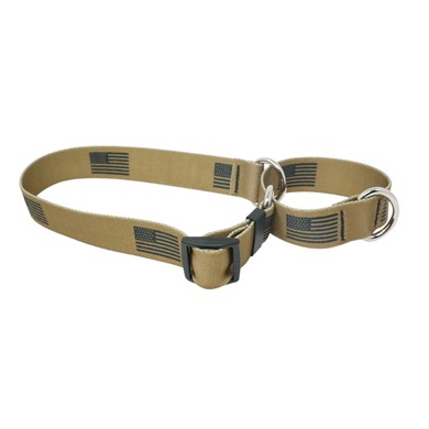 Raining Cats and Dogs | Desert Flag Martingale Collar