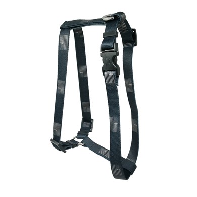 Raining Cats and Dogs | Black Flag Harness