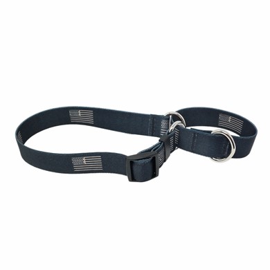 Raining Cats and Dogs | Black Flag Martingale Collar