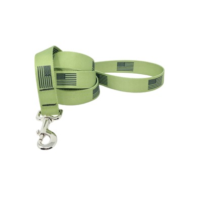 Raining Cats and Dogs | Olive Flag Leash