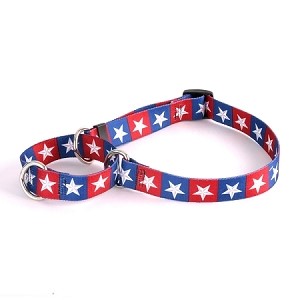 Raining Cats and Dogs | Colonial Stars Martingale Collar