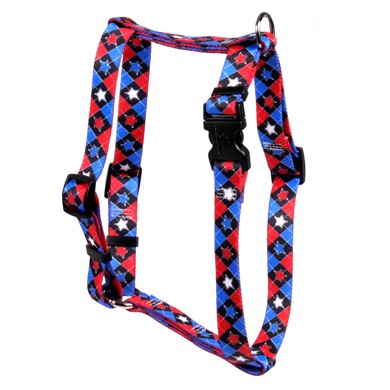 Raining Cats and Dogs | American Argyle Harness