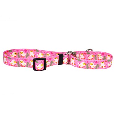 Raining Cats and Dogs | Bunny Chicks  Martingale Collar