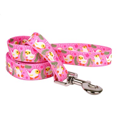 Raining Cats and Dogs | Bunny Chicks Leash