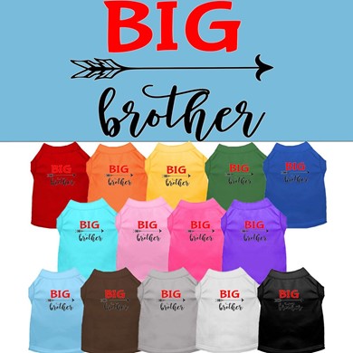 Raining Cats and Dogs | Big Brother Pet Tee