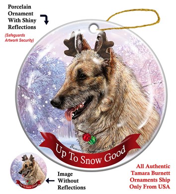 Raining Cats and Dogs | Belgian Laekenoios Up to Snow Good Christmas Ornament