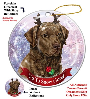 Raining Cats and Dogs | Chesapeake Bay Retriever Up to Snow Good Christmas Ornament