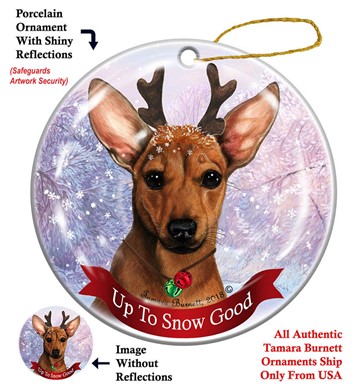 Raining Cats and Dogs | Chiweenie Up to Snow Good Dog Christmas Ornament