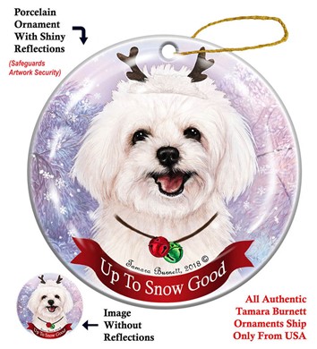 Raining Cats and Dogs | Maltipoo Up to Snow Good Christmas Ornament