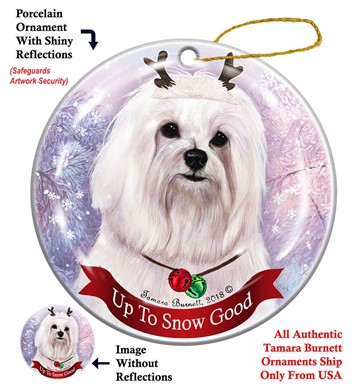 Raining Cats and Dogs | Maltese Up to Snow Good Christmas Ornament